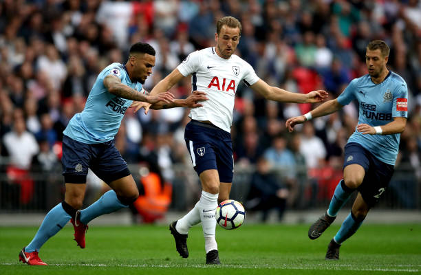 都经过精心 都经过精心