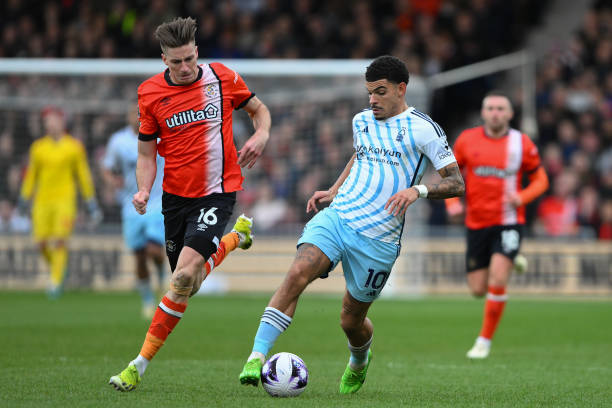 兴趣充满期 兴趣充满期